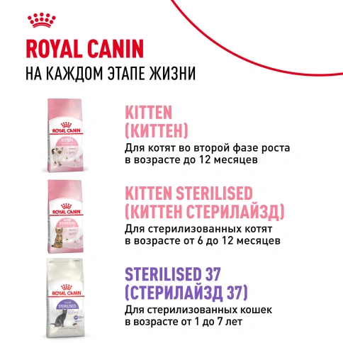 Сухой корм Royal Canin Kitten Sterilised для котят, 3.5 кг фото 9