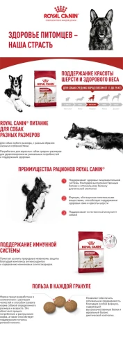Сухой корм Royal Canin Medium Adult для собак, 15 кг фото 10