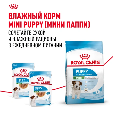 Сухой корм Royal Canin Mini Puppy для щенков, 800 г фото 9