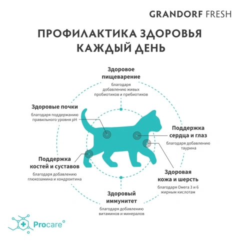 Сухой корм Grandorf Fresh Kitten беззерновой с ягненком и бататом для котят и кормящих кошек, 2 кг фото 3