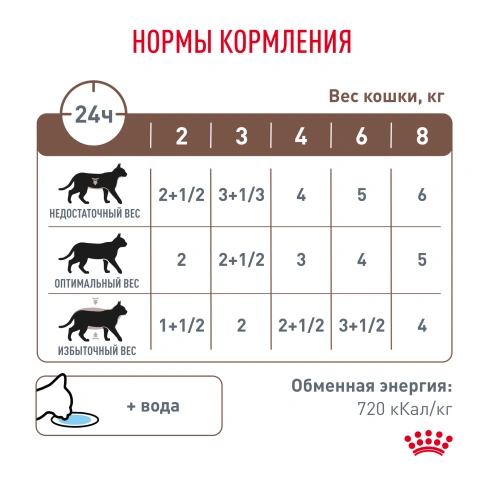Влажный диетический корм Royal Canin Gastrointestinal Moderate Calorie для кошек при расстройствах пищеварения, склонных к набору веса, пауч, 85 г фото 6