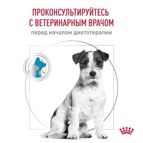 Сухой корм Royal Canin Hypoallergenic Small Dogs для собак, 3.5 кг фото 3