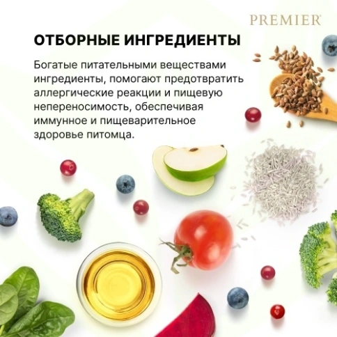 Сухой корм Premier со вкусом ягненка и индейки для взрослых кошек крупных пород, 400 г фото 10