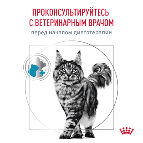Сухой корм Royal Canin Skin & Coat для кошек, 350 г фото 5