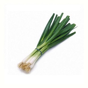 Лук зеленый пучок фото 1