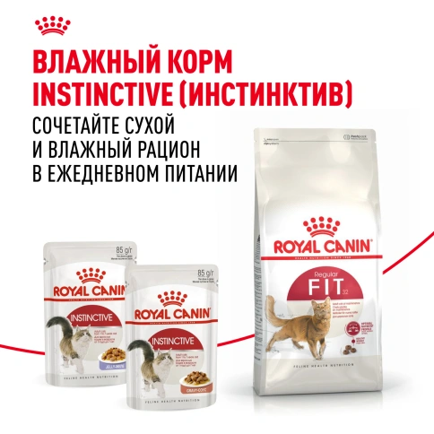Сухой корм Royal Canin Fit для кошек, 400 г фото 8