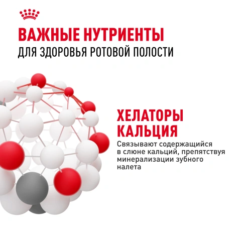 Сухой корм Royal Canin Dental Care для кошек, 1.5 кг фото 5