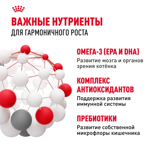 Сухой корм Royal Canin Kitten для котят, 2 кг фото 5