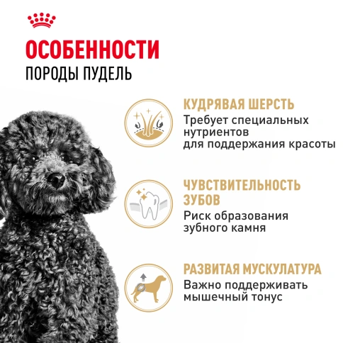 Сухой корм Royal Canin Poodle Adult для взрослых собак, 3 кг фото 2