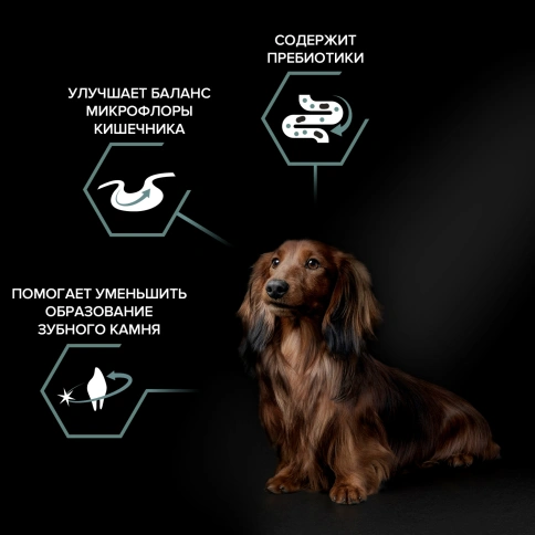 Сухой корм Purina Pro Plan Adult Small & Mini Sensitive Digestion для собак мелких пород, ягнёнок и рис, 7 кг фото 2