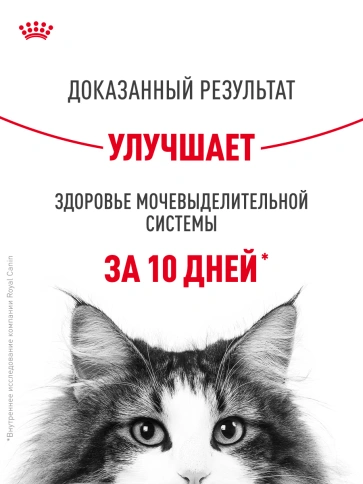 Сухой корм Royal Canin Urinary Care для кошек для профилактика МКБ, 400 г фото 17