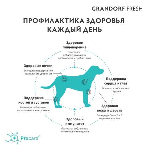 Сухой корм Grandorf Fresh Dog для взрослых собак крупных пород чувствительное пищеварение и гипоаллергенный ягненок с бататом 3 кг фото 4
