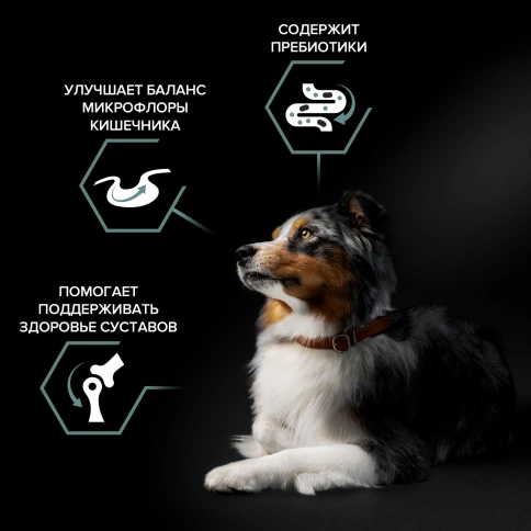 Сухой корм Purina Pro Plan Sensitive Digestion для взрослых собак средних пород, с ягненком, 3 кг фото 2