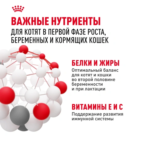 Сухой корм Royal Canin Mother & Babycat для котят, беременных и лактирующих кошек, 2 кг фото 5