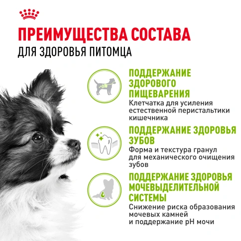 Сухой корм Royal Canin X-Small Adult для собак, 500 г фото 3