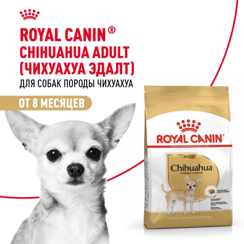 Сухой корм Royal Canin Chihuahua Adult для собак породы чихуахуа, 500 г фото 11