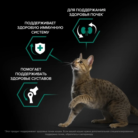 Сухой корм Purina Pro Plan Cat Adult Original Opti-Renal для взрослых кошек, с курицей, 400 г фото 2