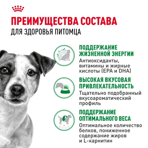Сухой корм Royal Canin Mini Adult 8+ для пожилых собак, 2 кг фото 9