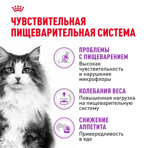 Сухой корм Royal Canin Sensible для кошек, 4 кг фото 2