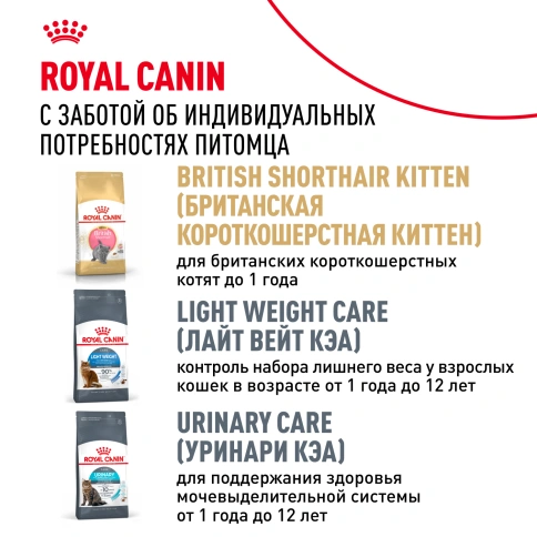 Сухой корм Royal Canin British Shorthair для кошек породы британская короткошерстная, 2 кг фото 10