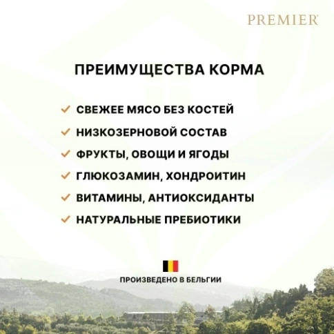 Сухой корм Premier со вкусом ягненка и индейки для взрослых кошек крупных пород, 2 кг фото 9