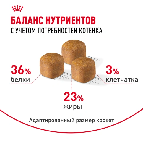 Сухой корм Royal Canin Kitten Maine Coon для котят, 400 г фото 4