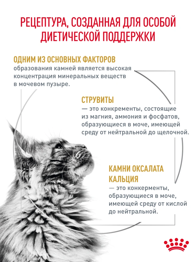 Сухой корм Royal Canin Urinary S/O для кошек при мочекаменной болезни, 3,5 кг фото 20