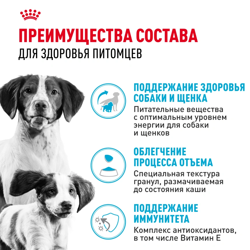Сухой корм Royal Canin Medium Starter Mother & Babydog для щенков и кормящих сук, 4 кг фото 2