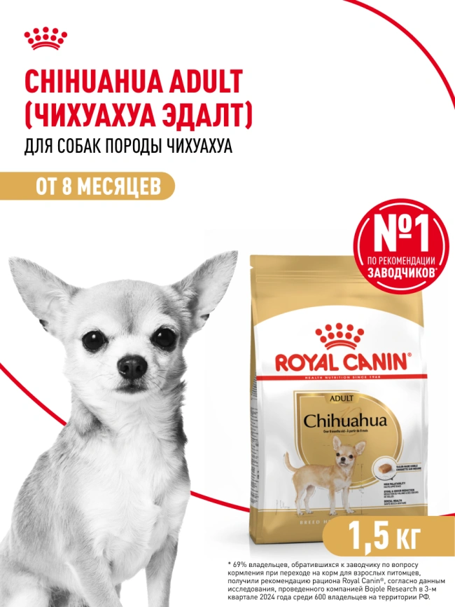 Сухой корм Royal Canin Cocker Adult для собак породы кокер-спаниель, 3 кг фото 16