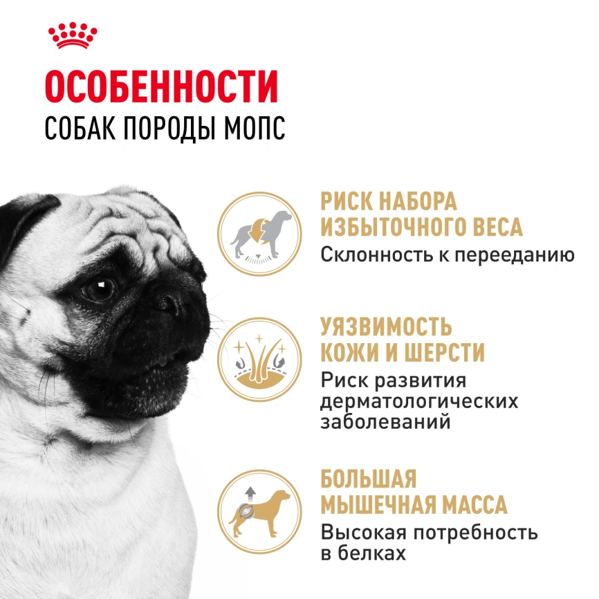 Сухой корм Royal Canin Pug Adult для взрослых собак, 7,5 кг фото 2