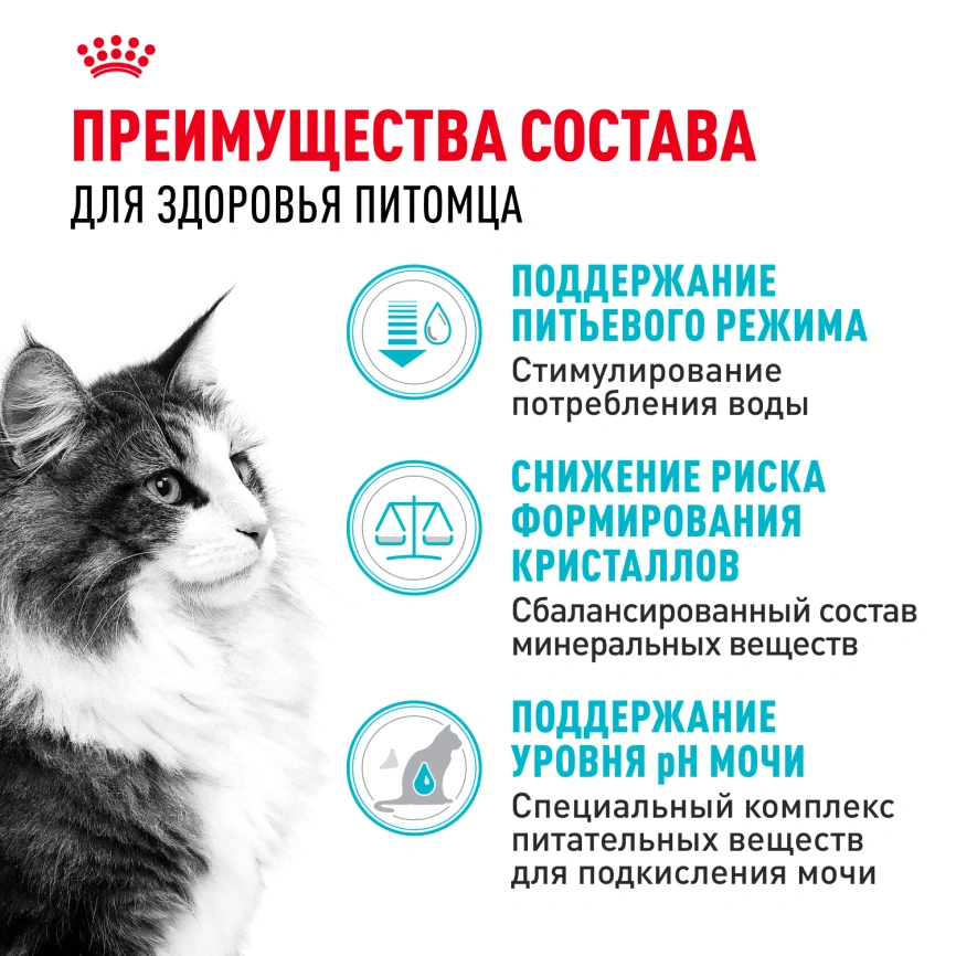 Сухой корм Royal Canin Urinary Care для поддержания здоровья мочевыделительной системы кошек, 4 кг фото 13
