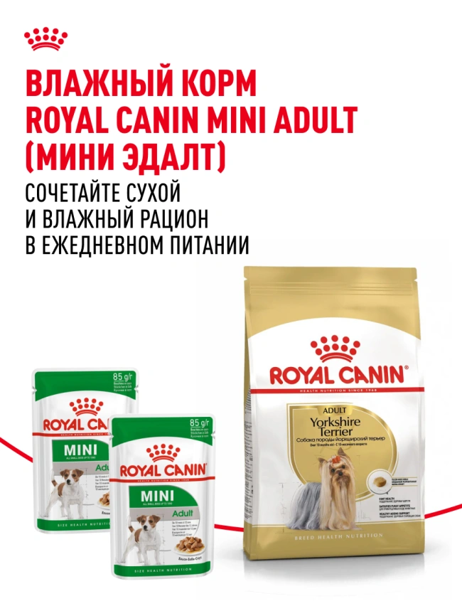Сухой корм Royal Canin Yorkshire Terrier Adult для взрослых собак, 3 кг фото 11