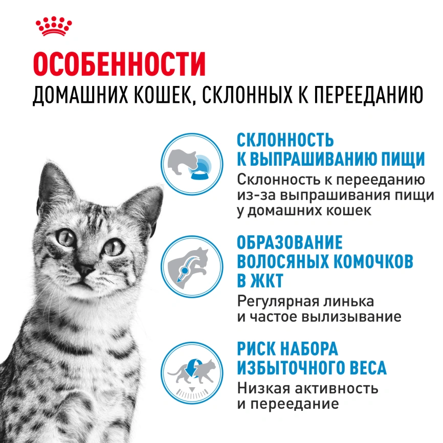 Сухой корм Royal Canin Indoor Appetite Control для кошек, 400 г фото 2