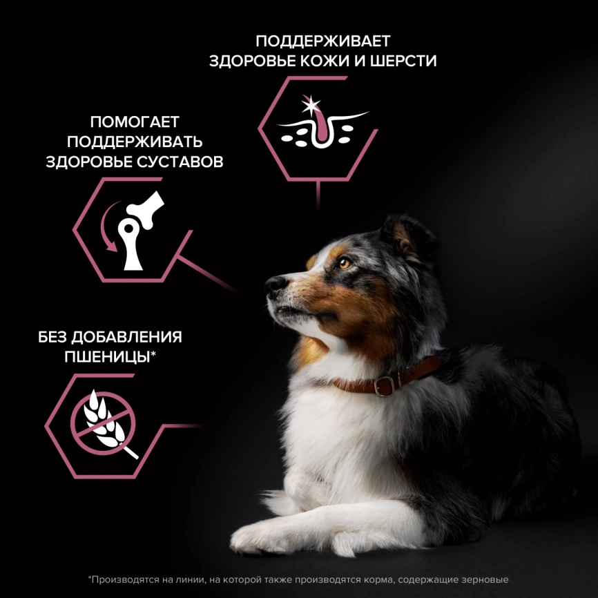 Сухой корм PRO PLAN Salmon для взрослых собак средних пород с чувствительной кожей, с высоким содержанием лосося, 18 кг фото 2
