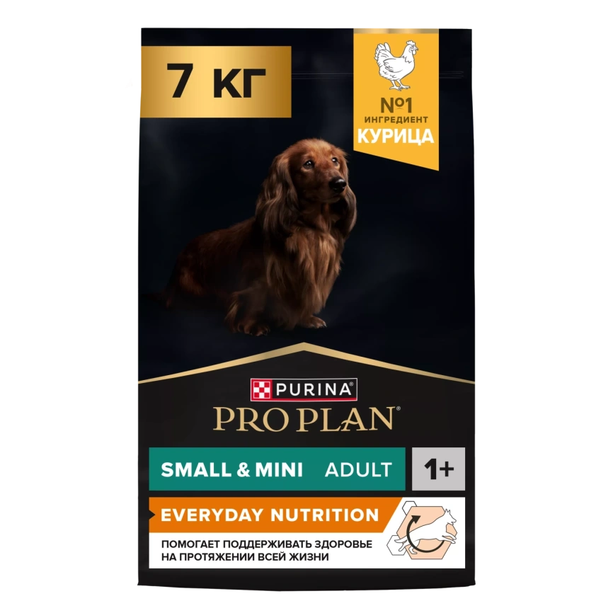Сухой корм Purina Pro Plan Adult Small & Mini Chicken & Rice для взрослых собак мелких и карликовых пород, с курицей и рисом, 7 кг фото 1