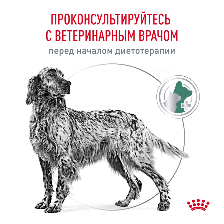 Сухой корм Royal Canin Diabetiс для собак, 1,5 кг фото 7