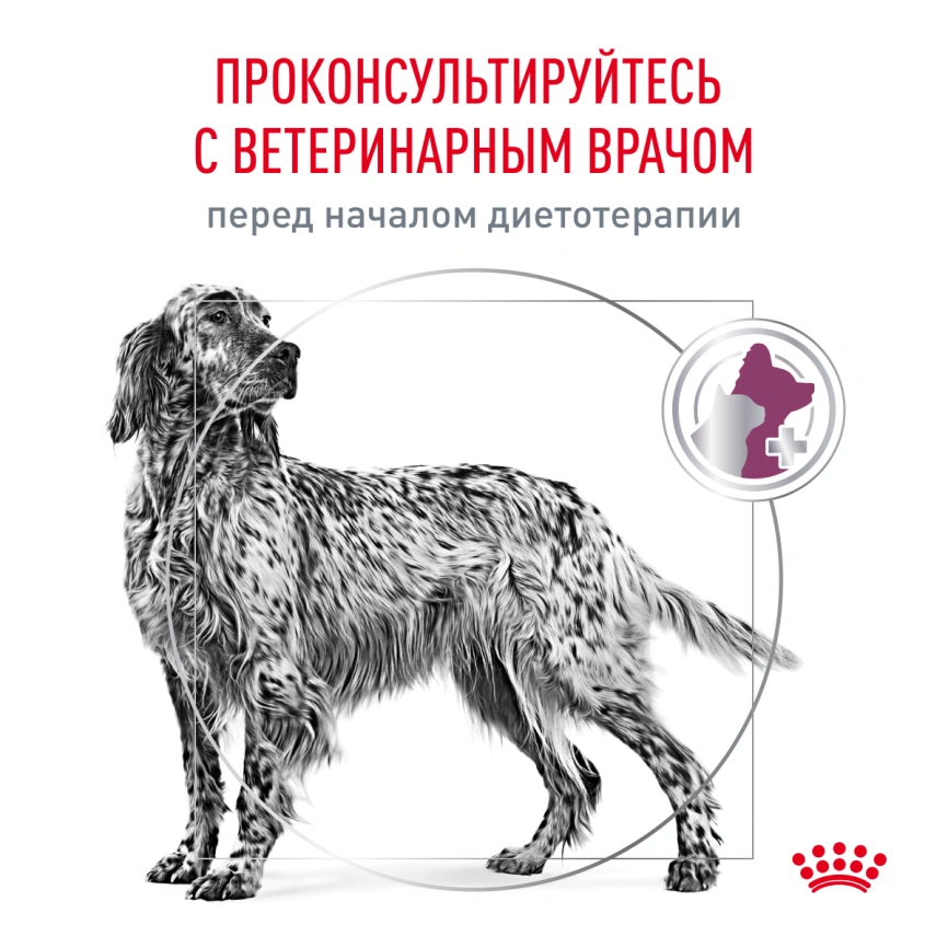 Сухой корм Royal Canin Hypoallergeniс для собак, 14 кг фото 7