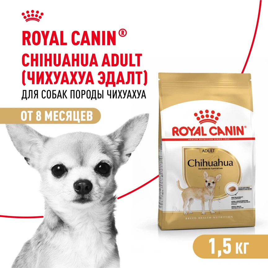 Сухой корм Royal Canin Cocker Adult для собак породы кокер-спаниель, 3 кг фото 17
