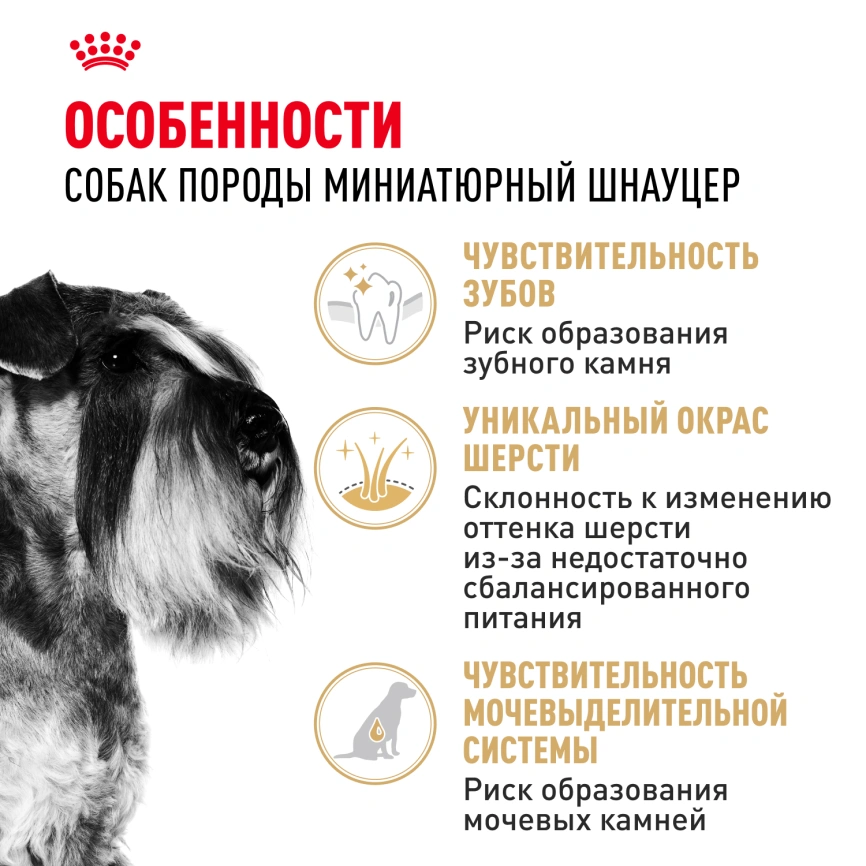 Сухой корм Royal Canin Miniature Schnauzer Adult для собак породы миниатюрный шнауцер, 7,5 кг фото 2