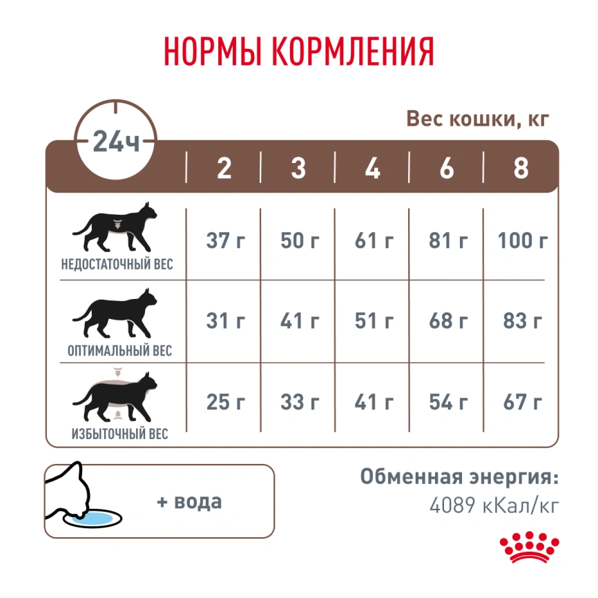 Сухой корм Royal Canin Hypoallergeniс для кошек, 350 г фото 6