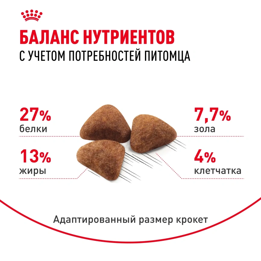 Сухой корм Royal Canin Indoor Long Hair для кошек, 2 кг фото 6