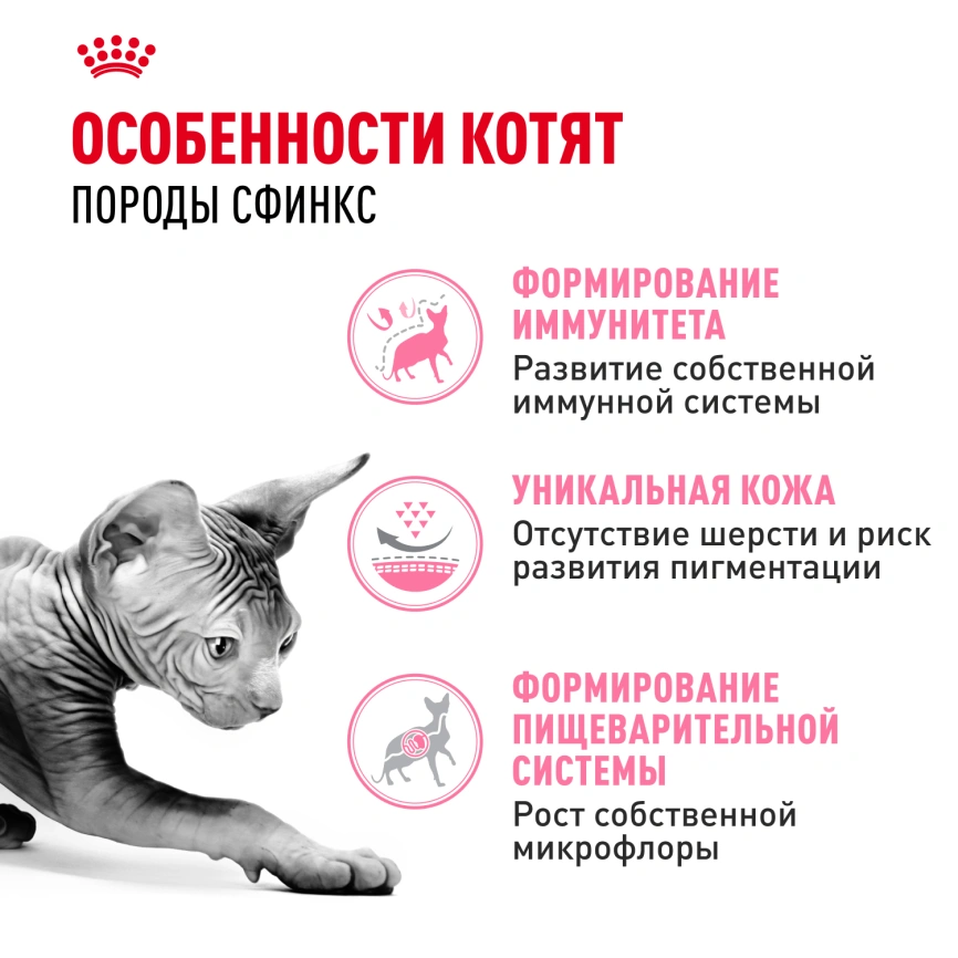 Сухой корм Royal Canin Sphynx Kitten для котят породы сфинкс до 12 месяцев, 400 г фото 3
