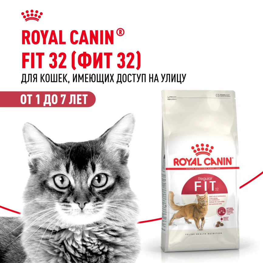 Сухой корм Royal Canin Fit для кошек, 400 г фото 15
