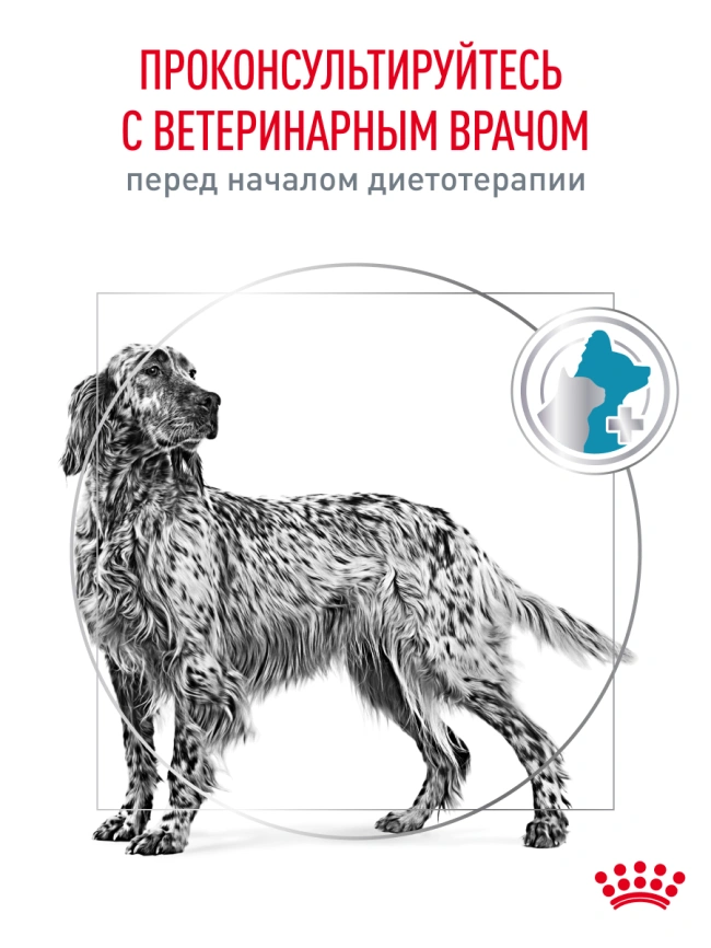 Сухой корм Royal Canin Hypoallergeniс для собак, 4 кг фото 21