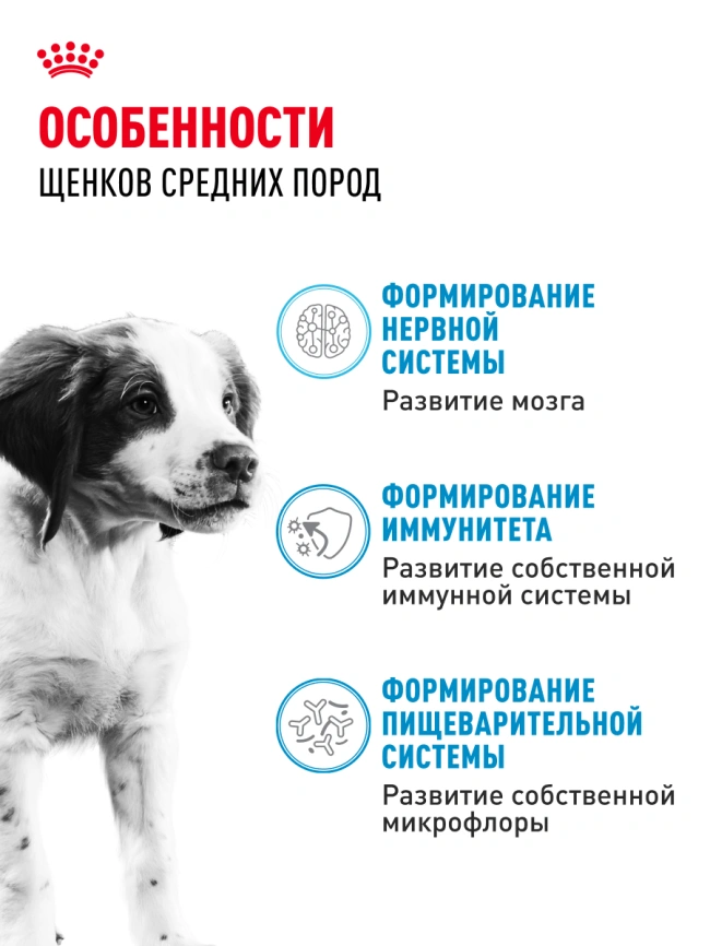 Сухой корм Royal Canin German Shepherd Puppy для щенков, 12 кг фото 18