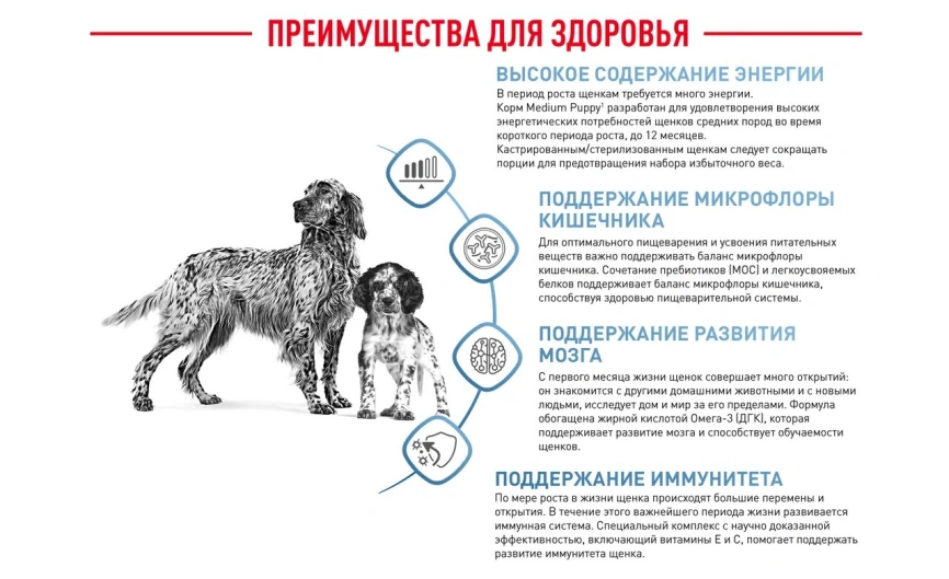 Сухой корм Royal Canin German Shepherd Puppy для щенков, 12 кг фото 14