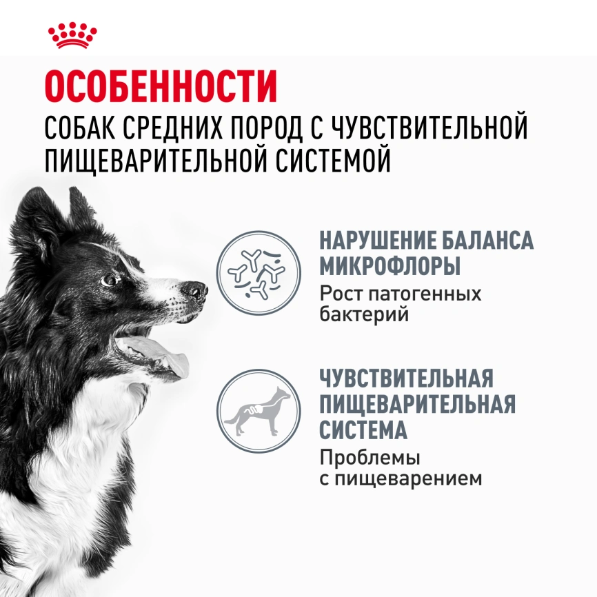 Сухой корм Royal Canin Medium Digestive Care для собак, 12 кг фото 2