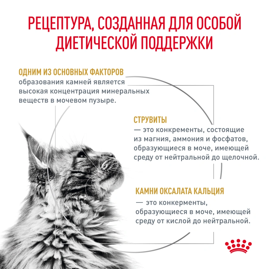 Сухой корм Royal Canin Urinary S/O для кошек при мочекаменной болезни, 350 г фото 2