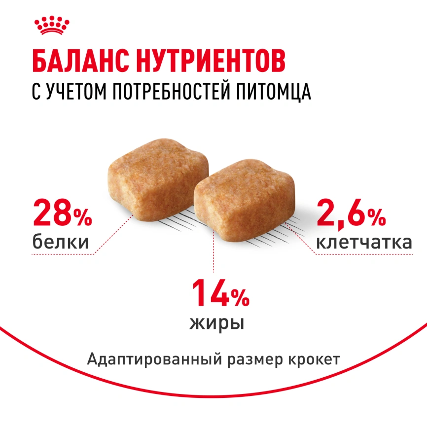 Сухой корм Royal Canin Dachshund Adult для собак породы такса, 7,5 кг фото 4