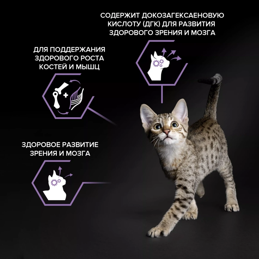 Сухой корм PRO PLAN Chicken для котят до 1 года, с высоким содержанием курицы, 1,5 кг фото 2
